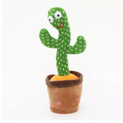 Dancingcactus 8